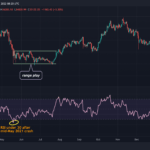 Cá voi Bitcoin “dửng dưng” với tín hiệu quá bán của thị trường