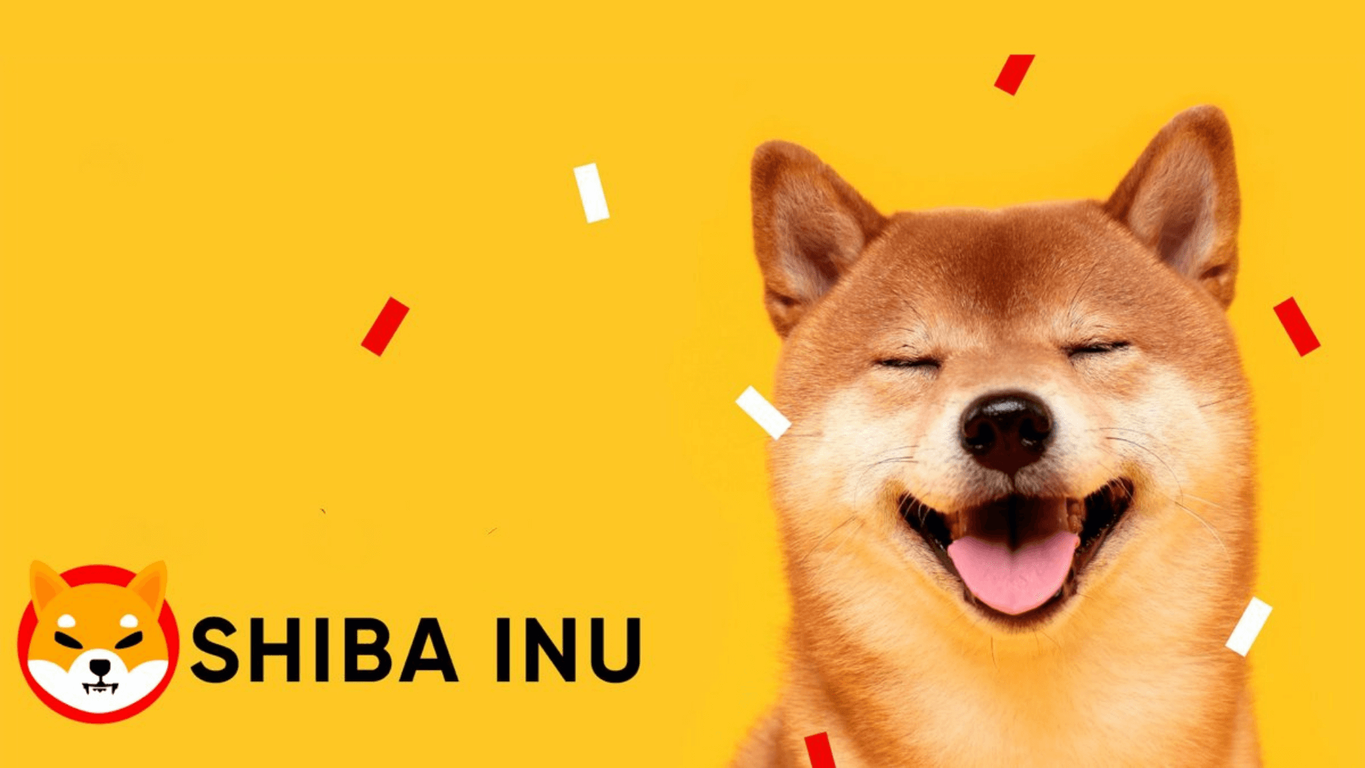 Chó Shiba là biểu tượng của cả hai đồng Dogecoin và Shiba Inu